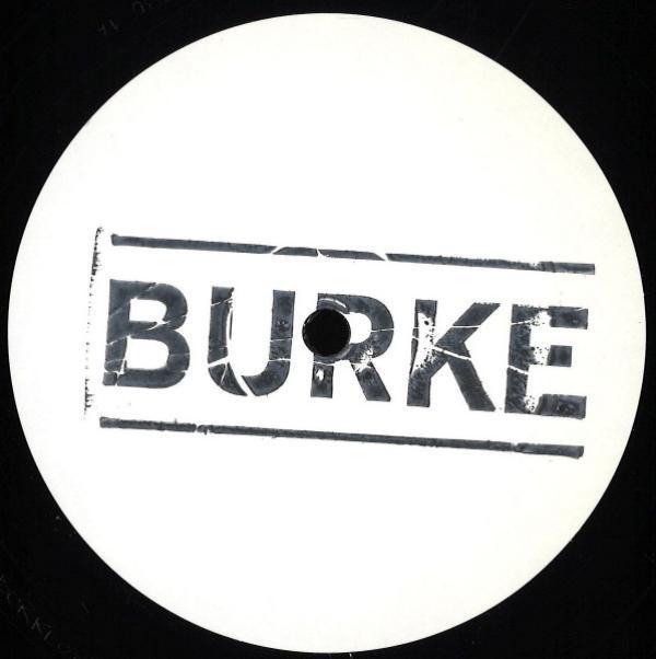 Burke  - Blue Tongued Skink