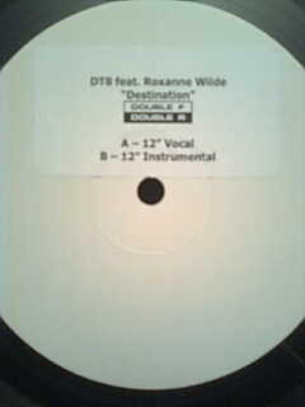 DT8 Project, Roxanne Wilde - Destination
