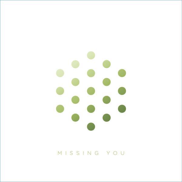 LSB  - Missing You / Tumult