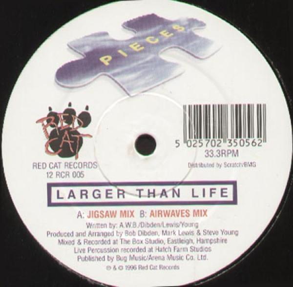 Larger Than Life  - Pieces