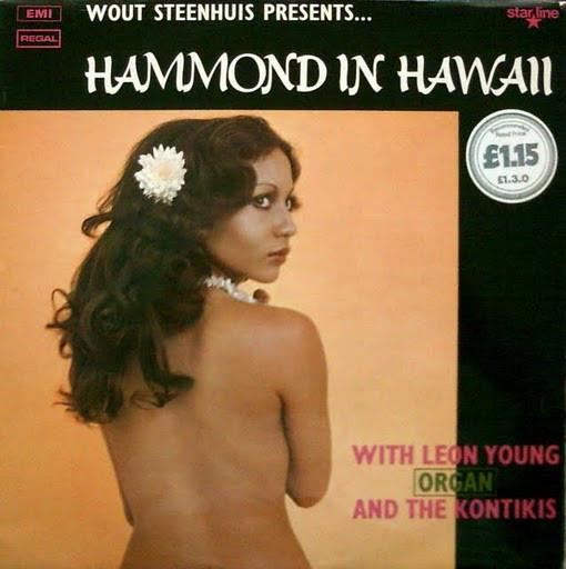 Leon Young, The Kontikis, Wout Steenhuis - Hammond In Hawaii