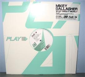 Mikey Gallagher - What Does It Mean? E.P'