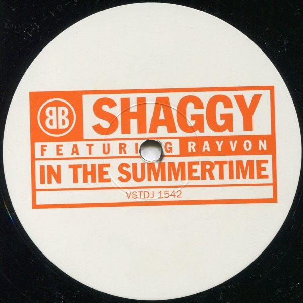 Shaggy, Rayvon - In The Summertime