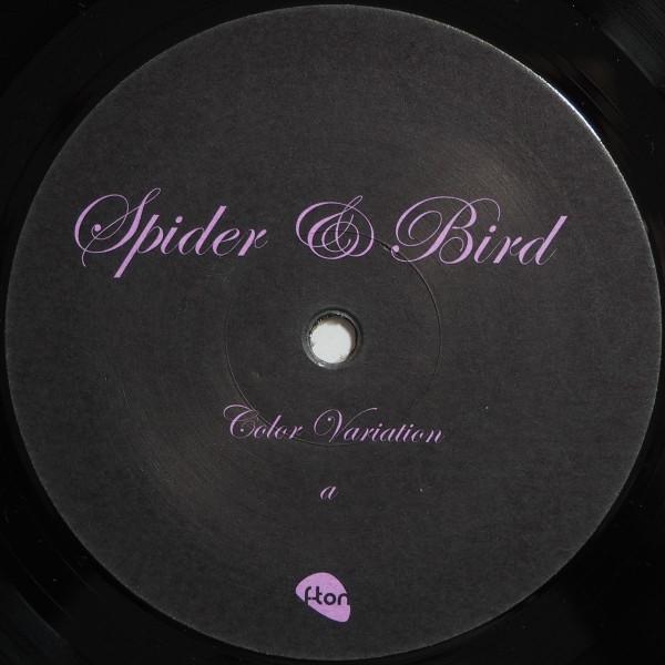 Spider & Bird - Therapy Meetings EP