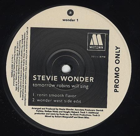 Stevie Wonder - Tomorrow Robins Will Sing