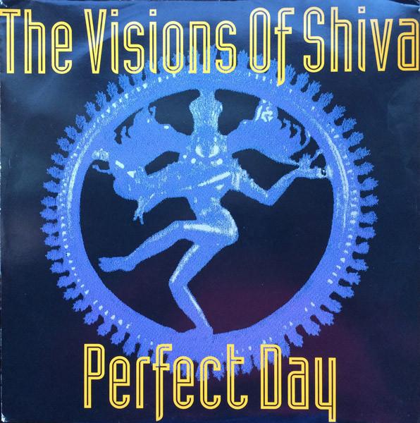 The Visions Of Shiva - Perfect Day